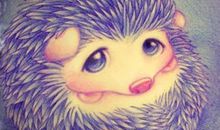 假如我是一只刺猬_600字