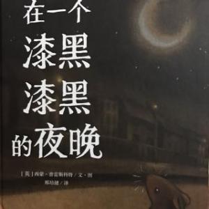 写在暗夜_1500字