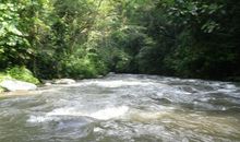 河岸--我们的世界_550字