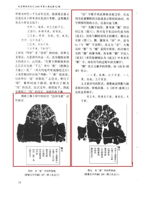 [阅读]普通漂亮的候选人_150字