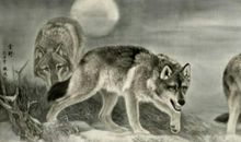 爱上我的朴实老师_800字