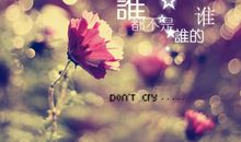 生命因享受而精彩_700字