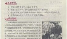 [PK赛]关于可爱的＿＿的作文：可爱的小乌龟红点点_350字