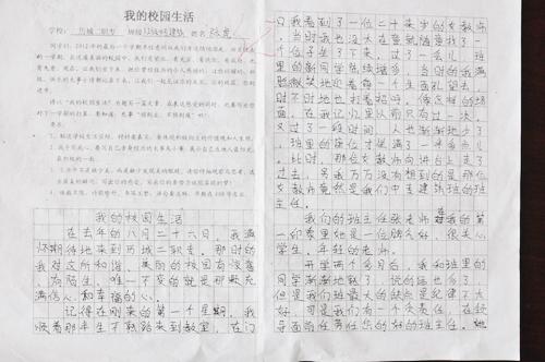 [PK Tour]关于可爱的__的成分：美丽的大公鸡_300字
