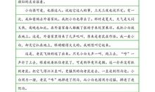 [PK赛]关于动物的作文：最爱的狗狗——贝贝_500字