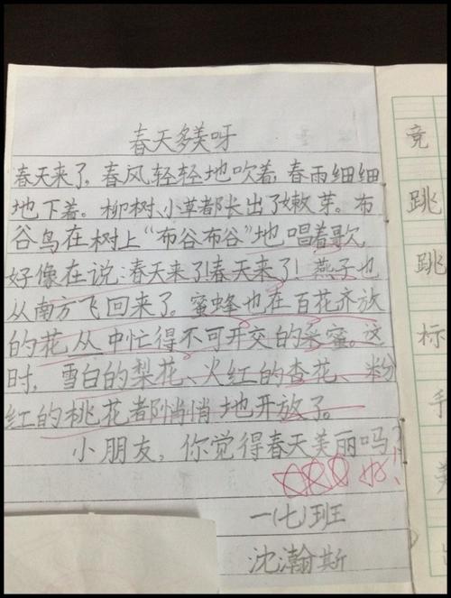第一年中等试验组成：五角星_100字