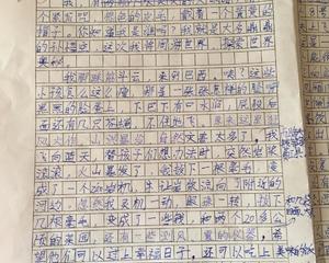 第一年中等考试成分：生活真的很丰富_400字