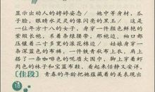 小学生作文描写辞典—写物练习册