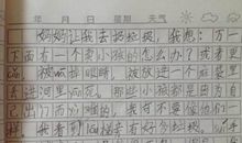 【微作文】开学前写给暑假_100字