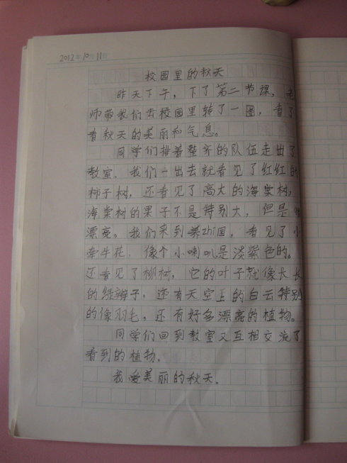 六年级组成：长春花_500字