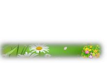 [春天来了]哦！春天，好久不见_450字