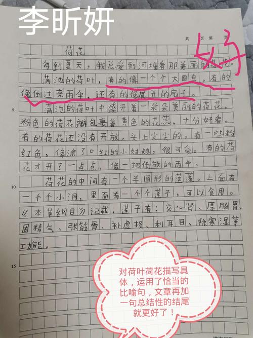 六年级组成：我的动物朋友_550字