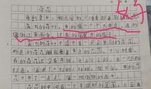 六年级状物作文：我的动物朋友_550字