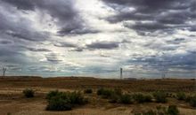 六年级状物作文：顽强的小草_550字