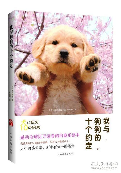 在阅读_1200字后，“与狗的十次约定”