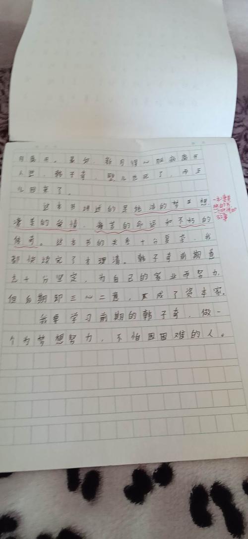 阅读“穆斯林的葬礼”感觉_1500字