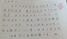 读《穆斯林的葬礼》有感_1500字