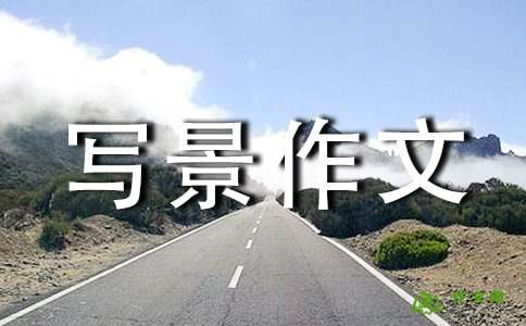 没有下降_650字