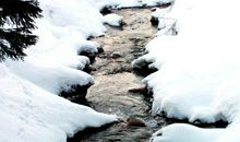 美丽的冬景_350字