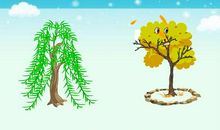 《小柳树和小枣树》改写_300字