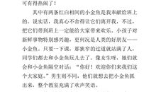 我的小伙伴_600字