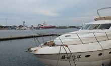 别样的月亮，别样的心_700字