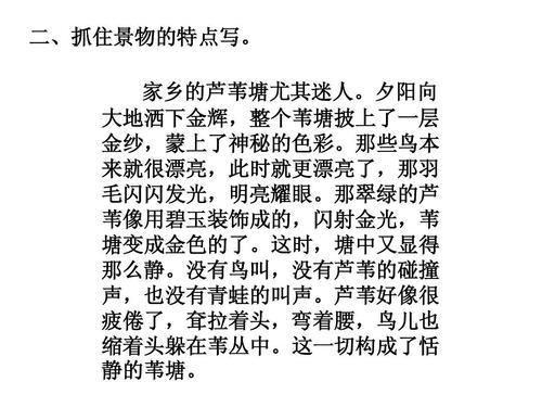 与我的家乡的构成：回到我的家乡_500字