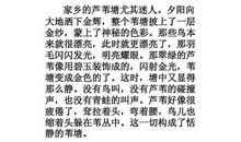 关于我的家乡的作文：回老家_500字