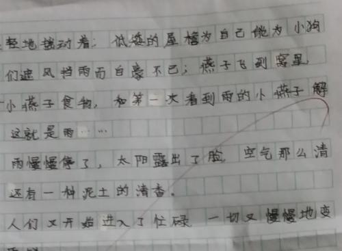 雨在家乡_500字