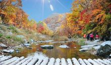 家乡的秋色_250字