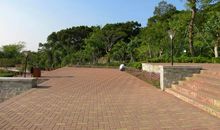 凤凰山公园_400字