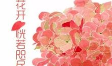 静默.花开_1200字