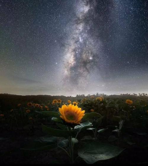 关于社区的反对意见，大约两个协会，不允许同时加入一些协会等关于社区的疾病，并且有些人发送“我想进入某个社区”提取的人可以避免打扰私信。