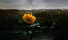 感叹世间万千_1500字