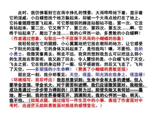 [微写]脸上学校，春天开花_200字