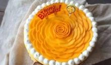 蛋糕是怎样炼成的_700字