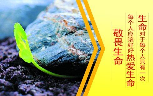 关于这本书的组成：舒良漂浮在校园里，生活在阅读_900字时很棒