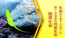 关于书的作文：书香在校园中飘荡，生命在阅读中精彩_900字