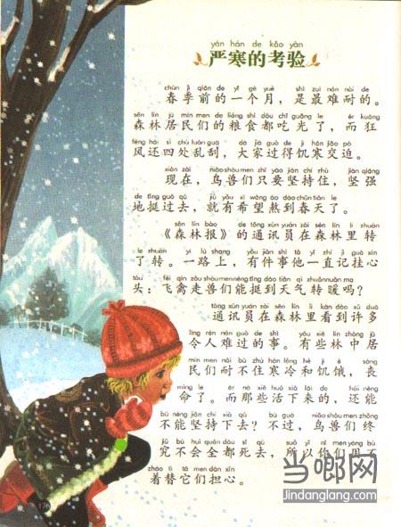 阅读后“隧道的森林”