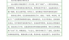 我的心爱之物作文500字五年级上册