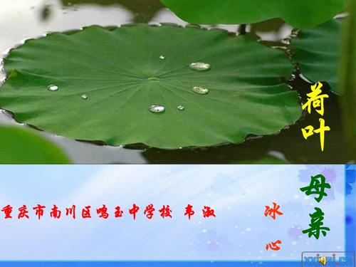 母亲_1500字S.
