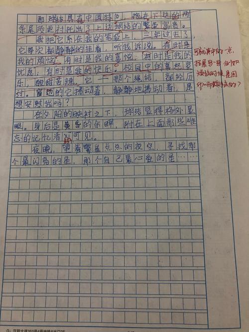 我心爱的材料成分五年级450字