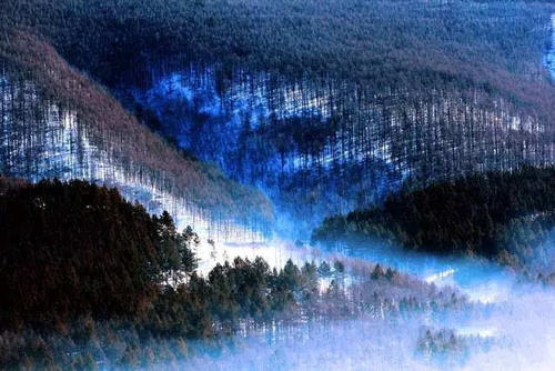 生命沉降，风景_900字