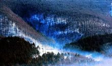 人生沉淀即风景_900字