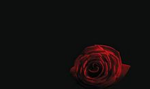 “最近的你，是我最深的爱”_900字