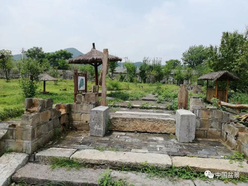 我的家乡“中翔”_800字