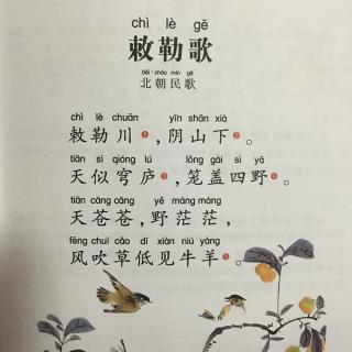 敕敕宋