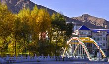 风景，这边独美_900字