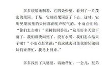 拔牙记作文300字三年级