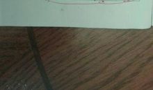 我尊敬的一位师长_500字